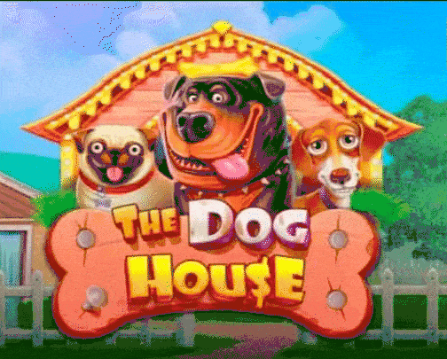 play the dog house in F1 Casino